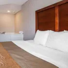 Business 15 image COMFORT INN ST LOUIS - WESTPORT Hotels in Saint Louis MO