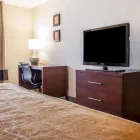 Business 17 image COMFORT INN ST LOUIS - WESTPORT Hotels in Saint Louis MO