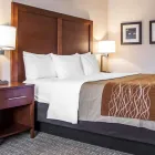 Business 18 image COMFORT INN ST LOUIS - WESTPORT Hotels in Saint Louis MO
