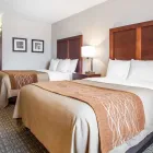 Business 20 image COMFORT INN ST LOUIS - WESTPORT Hotels in Saint Louis MO