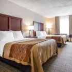Business 21 image COMFORT INN ST LOUIS - WESTPORT Hotels in Saint Louis MO