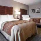 Business 22 image COMFORT INN ST LOUIS - WESTPORT Hotels in Saint Louis MO