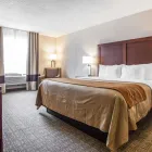 Business 23 image COMFORT INN ST LOUIS - WESTPORT Hotels in Saint Louis MO