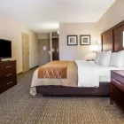 Business 25 image COMFORT INN ST LOUIS - WESTPORT Hotels in Saint Louis MO