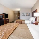 Business 26 image COMFORT INN ST LOUIS - WESTPORT Hotels in Saint Louis MO