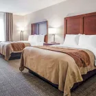Business 27 image COMFORT INN ST LOUIS - WESTPORT Hotels in Saint Louis MO