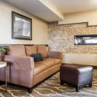 Business 37 image COMFORT INN ST LOUIS - WESTPORT Hotels in Saint Louis MO