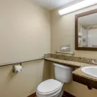 Business 15 image COMFORT INN ST PETERSBURG NORTH in Saint Petersburg FL