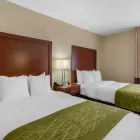 Business 29 image COMFORT INN ST PETERSBURG NORTH in Saint Petersburg FL