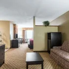 Business 2 image COMFORT INN & SUITES KANSAS CITY DOWNTOWN Hotel in Kansas City MO