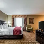 Business 13 image COMFORT INN & SUITES KANSAS CITY DOWNTOWN Hotel in Kansas City MO