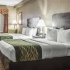 Business 19 image COMFORT INN & SUITES KANSAS CITY DOWNTOWN Hotel in Kansas City MO