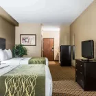 Business 20 image COMFORT INN & SUITES KANSAS CITY DOWNTOWN Hotel in Kansas City MO