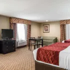 Business 22 image COMFORT INN & SUITES KANSAS CITY DOWNTOWN Hotel in Kansas City MO