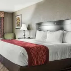 Business 23 image COMFORT INN & SUITES KANSAS CITY DOWNTOWN Hotel in Kansas City MO