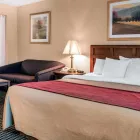 Business 3 image COMFORT INN in Livonia MI