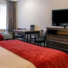 Business 6 image COMFORT INN in Livonia MI