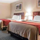 Business 24 image COMFORT INN in Livonia MI