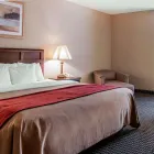 Business 35 image COMFORT INN in Livonia MI