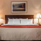 Business 36 image COMFORT INN in Livonia MI