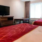 Business 37 image COMFORT INN in Livonia MI