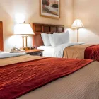 Business 38 image COMFORT INN in Livonia MI