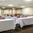 Business 39 image COMFORT INN in Livonia MI