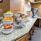 Business 10 image COMFORT SUITES KANSAS CITY-LIBERTY Hotel in Kansas City MO