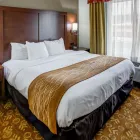 Business 18 image COMFORT SUITES KANSAS CITY-LIBERTY Hotel in Kansas City MO