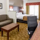 Business 22 image COMFORT SUITES KANSAS CITY-LIBERTY Hotel in Kansas City MO