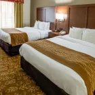 Business 24 image COMFORT SUITES KANSAS CITY-LIBERTY Hotel in Kansas City MO