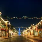 Business 3 image COMMERCIAL CHRISTMAS LIGHTING Christmas Store in Sachse TX