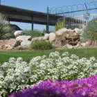 Business 1 image COMPLETE LANDSCAPING Landscape Contractors in Tucson AZ