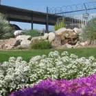 Business 1 image COMPLETE LANDSCAPING Tree Service in Tucson AZ