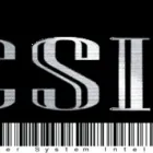 Business 1 image COMPUTER SYSTEM INTELLIGENCE Web Site Design & Services in San Antonio TX