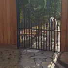 Business 2 image COOK'S FENCE & IRON CO INC Fence Contractors in Oklahoma City OK