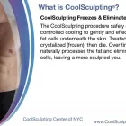 Business 1 image COOLSCULPTING CENTER OF NYC Spa in New York NY