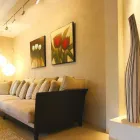 Business 20 image CORAL COLOURS VENETIAN PLASTER Painting Contractor in San Francisco CA