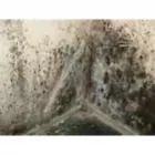 Business 1 image CORNERSTONE SERVICES GROUP Asbestos Testing & Removal in Kansas City MO