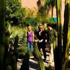 Business 1 image COTTONWOOD TUCSON Relapse Prevention in Tucson AZ