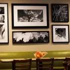 Business 15 image COUNTRY INN & SUITES BY RADISSON, LINCOLN NORTH HOTEL AND CONFERENCE CENTER, NE Hotel in Lincoln NE