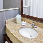 Business 13 image COURTYARD BY MARRIOTT SAN ANTONIO SIX FLAGS® AT THE RIM in San Antonio TX