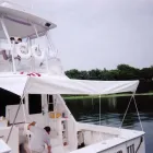 Business 1 image COVE CANVAS INC. Upholstery Shops in Mamaroneck NY