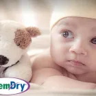 Business 1 image COWGIRL CHEM-DRY in Fort Worth TX