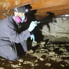 Business 4 image CRAWLSPACE MEDIC OF COLUMBUS Home & Building Inspection in Columbus OH