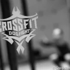 Business 1 image CROSSFIT DOG FIGHT Sports & Recreation in Indianapolis IN