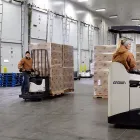 Business 2 image CROWN LIFT TRUCKS in Richmond VA