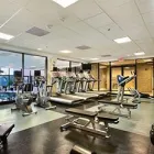 Business 8 image CROWNE PLAZA NEWARK AIRPORT Resorts in Elizabeth NJ