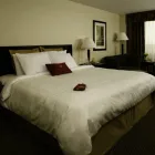 Business 5 image CROWNE PLAZA Lodging in Minneapolis MN