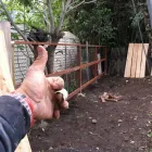 Business 7 image CRUZ 4 CONSTRUCTION Painting Contractors in Stockton CA